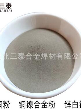 厂供白铜粉 铜镍合金粉 锌白铜粉CuNi18Zn18铜镍粉白铜粉高纯铜粉