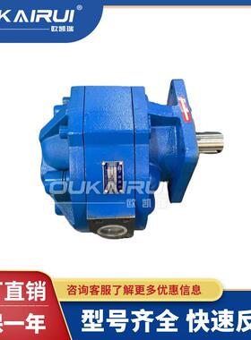 四川长江CBG3125-B1R液压齿轮泵CBG3100/3140/3160/3180-01R/B2R