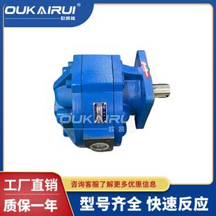 01R 四川长江CBG3125 B2R 3180 3160 B1R液压齿轮泵CBG3100 3140