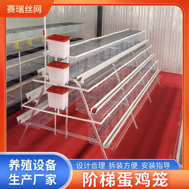 养殖场养殖蛋鸡鸡舍四层笼自动笼子三层蛋鸡阶梯式阶梯滚蛋笼家用