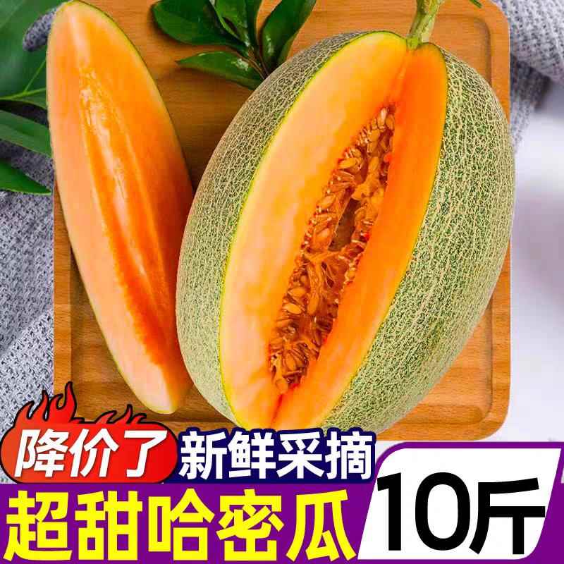 超甜哈密瓜斤网纹瓜当季水果甜瓜香瓜蜜瓜西州蜜产地直发香甜多汁