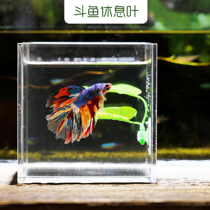 水族宠物用品其它水族用具设备