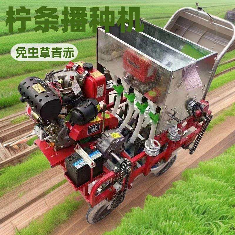 柠条白术白鲜皮播种机柴胡黄芩桔梗种植机白菜大葱菠菜点播机