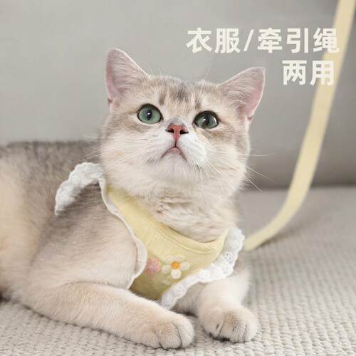 猫咪牵引绳防挣脱外出专用溜猫背心式背带小型犬小猫猫防丢遛猫绳