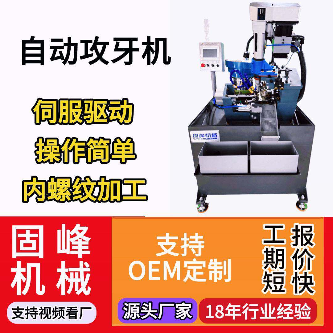 全自动双伺服攻丝机加工精密丝锥零配件检测丝攻一键对刀可非标