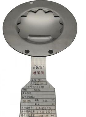 爆破片YE40-0.25-31050-0.25-22F65-0.29-110A80-0.15-300A