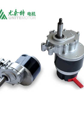 MY1016Z尤奈特轮椅车电机二级减速有刷低速永磁直流电动机250W24V