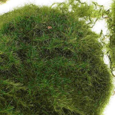 6 Pcs Lawn Artificial Moss B Ferns Decorate Decorative