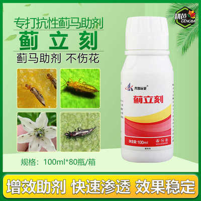 蓟立刻黑蓟马红蓟马花蓟马茄子黄瓜水果蔬菜蚜虫农用助剂