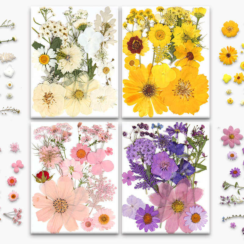 真花植物标本混合包组合款压花干花相框贴画香薰蜡烛火漆印章15片,鲜花速递/花卉仿真/绿植园艺,干花,淘宝优惠券,粉丝福利购,淘宝优惠卷