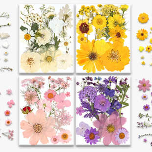 真花植物标本混合包组合款压花干花相框贴画香薰蜡烛火漆印章15片