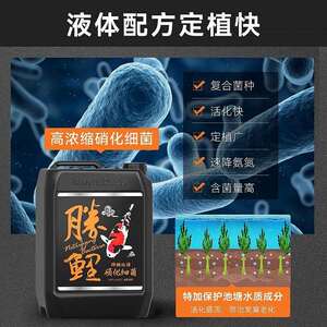 BIOZYM百因美硝化细菌锦鲤鱼池水质清澈剂除藻剂净水剂鱼缸稳定剂