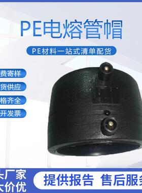 HDPE给水管件电熔管帽电热溶堵头钢丝网骨架50637590110pe配件