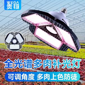 贵翔 多肉补光灯上色家用龙舌兰热植全光谱LED植物生长灯彷太阳光