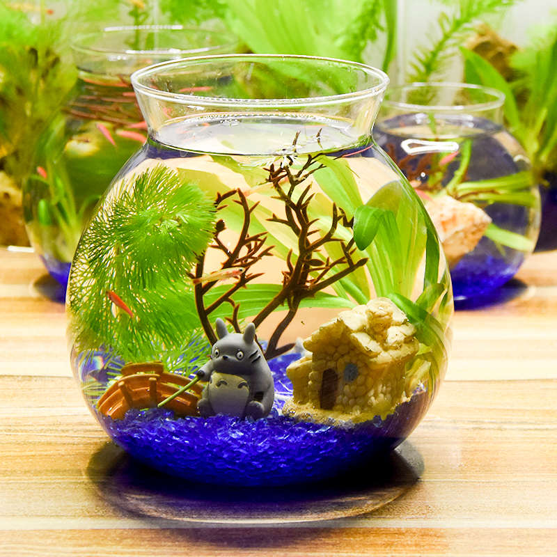 创意造景鱼缸观赏生态瓶鱼微景观免换水免打理diy水族办公桌面