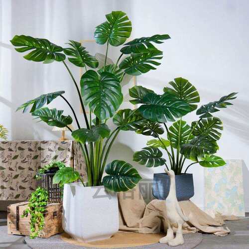 仿真绿植龟背竹室内客厅仿生植物服装店大型落地盆栽装饰花假花树