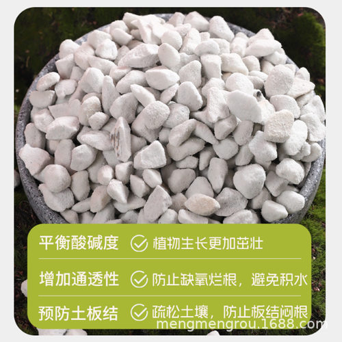 兰花植硬质珍珠颗粒花用栽培基质