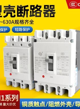 塑壳断路器RMM1-225A110A125A140A160A180A200A225A塑壳断路空开