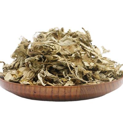 大艾叶艾草叶泡脚包泡澡新鲜艾草叶云大货农产品 艾叶草