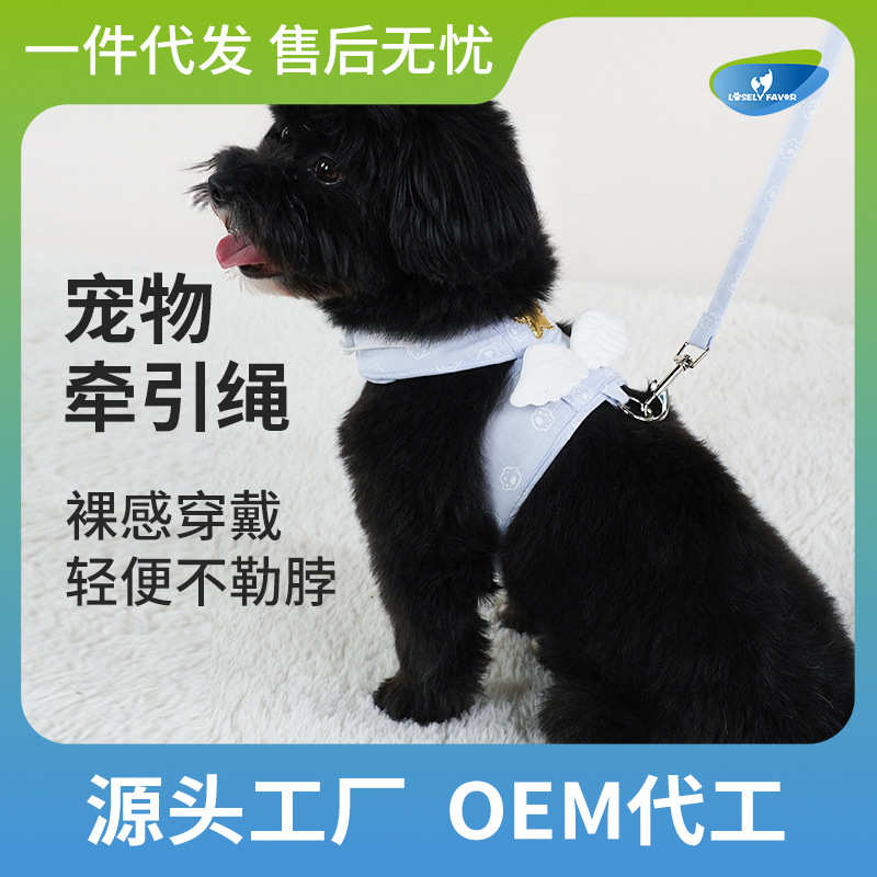 防胸猫咪牵引绳挣脱式绳子出溜拴背心猫背带猫猫外批发牵引链子