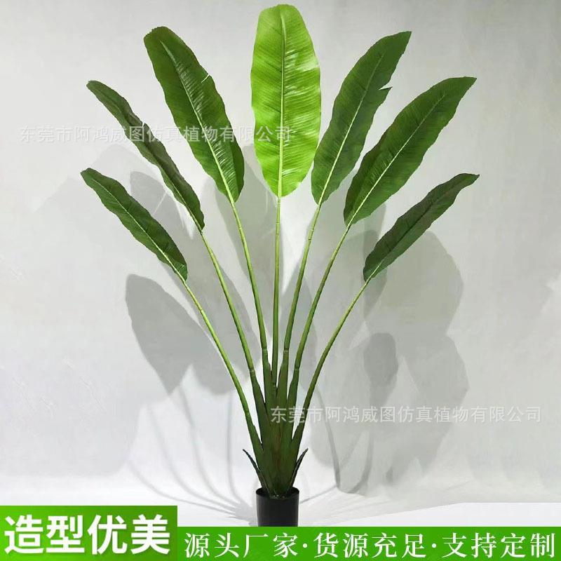大型仿真芭蕉树盆栽 东南亚餐厅装饰孔雀开屏芭蕉树摄影道具装饰