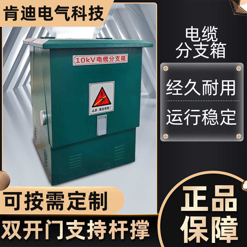 厂家直销DFW-12/630高压欧式电缆分支箱10kv一进一出不锈钢户外分