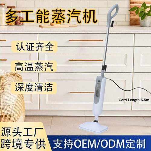 跨境手持电动高温蒸汽拖地机洗地擦地高温杀菌拖地家用蒸汽拖把