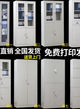 文件柜铁皮档案柜资料柜矮柜财务凭证柜办公室家用带锁收纳柜