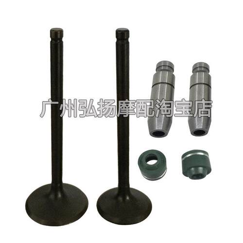 摩托车气门组件GS200藏獒200气门导管QM200GY GTX200气门油封配件
