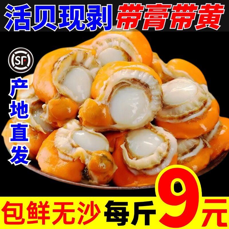 扇贝肉新鲜冷冻特级大扇贝肉海鲜水产鲜活蒜蓉粉丝特大带膏带黄