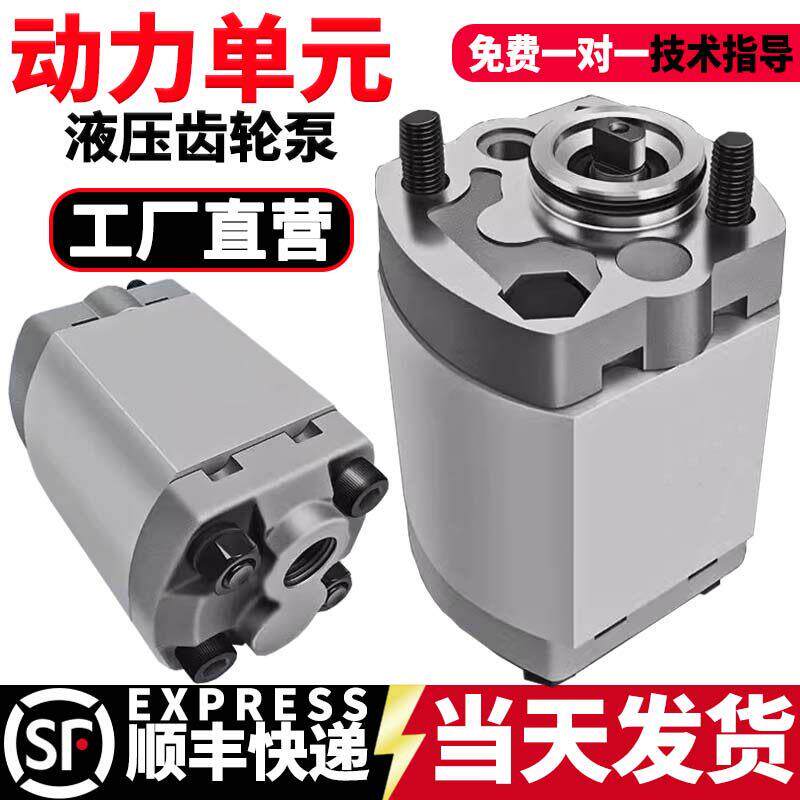 微型cbk齿轮泵小型升降机液压帮浦总成CBK-1.6/2.1油泵动力单元配