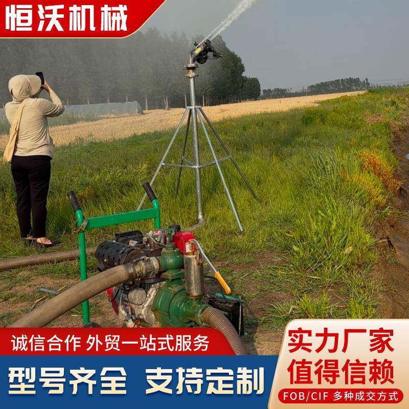 青岛丰燕195风冷手推款移动方便高压水泵高扬程流量大高压灌溉泵