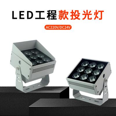 LED义美投射灯投光灯户外亮化防水27W/9D高压低压户外楼体亮化工