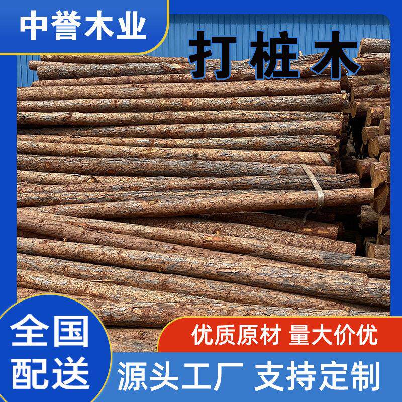 杉木原木桩户外河岸护坡圆木桩园林绿化树木支撑杆落叶松打桩木