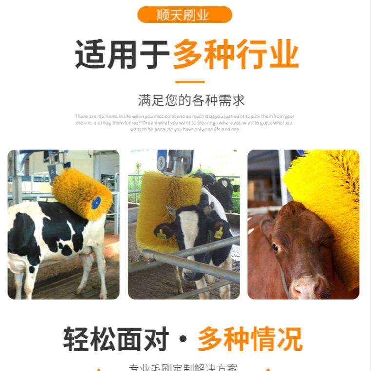 厂家牛体刷奶牛清洁刷 自动旋转牛体按摩清洗毛刷挠痒刷
