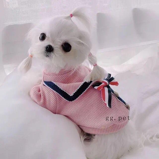 狗狗服饰衣服春夏装猫学生装学院卫衣毛衣泰迪小型犬宠物英伦学院