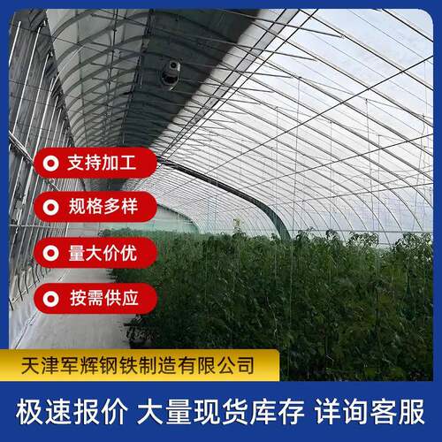 暖棚加工安装冬季日光薄膜温室西瓜棚草莓棚蔬菜种植日光暖棚