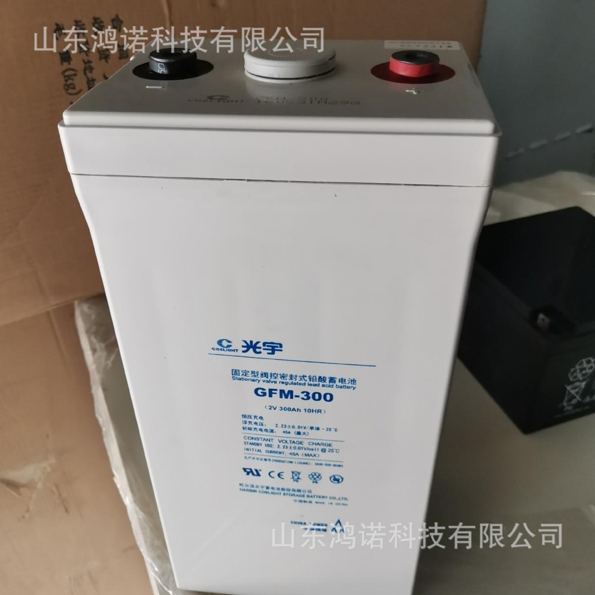 鸿诺 光宇蓄电池6-GFM-100C 直流屏电池12V100AH 铅酸