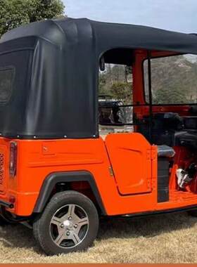燃油快客Tuktuk突突车全新可做六座载客嘟嘟车三轮车热销步车