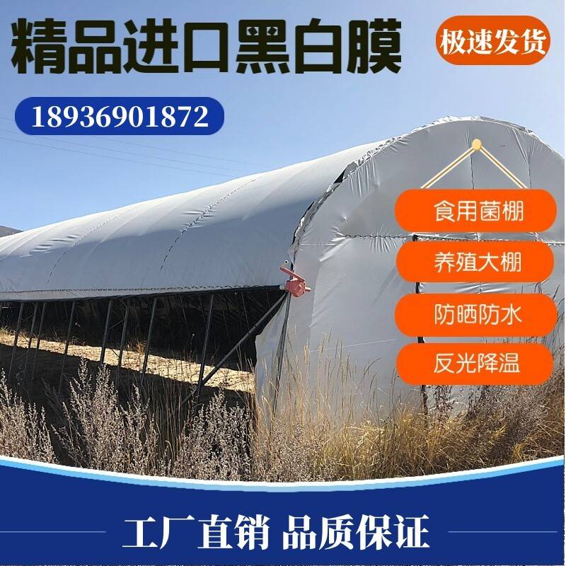 进口黑白膜农用塑料布鸡舍养殖大棚降温遮阳防晒隔热膜反光大棚膜