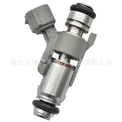 跨境热销 汽车喷油嘴IPM018 FUEL INJECTOR NOZZIE适用标致雪佛兰