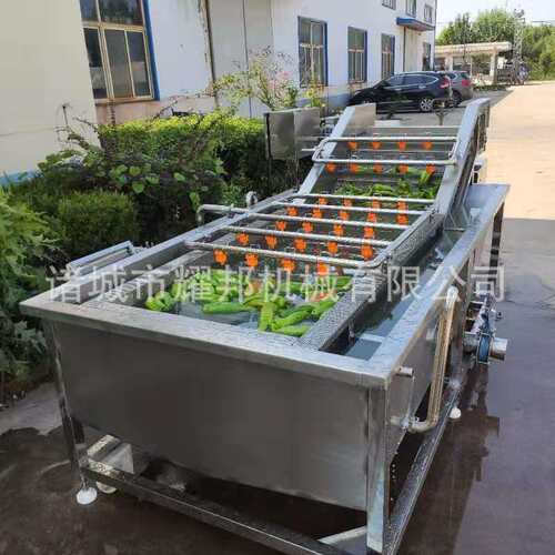 果蔬气泡清洗机 水果蔬菜清洗设备 全自动大型商用连续辣椒清洗机