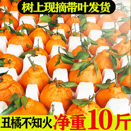 四川正宗不知火丑橘10斤粑粑橘子八怪柑当季新鲜水果桔子整箱