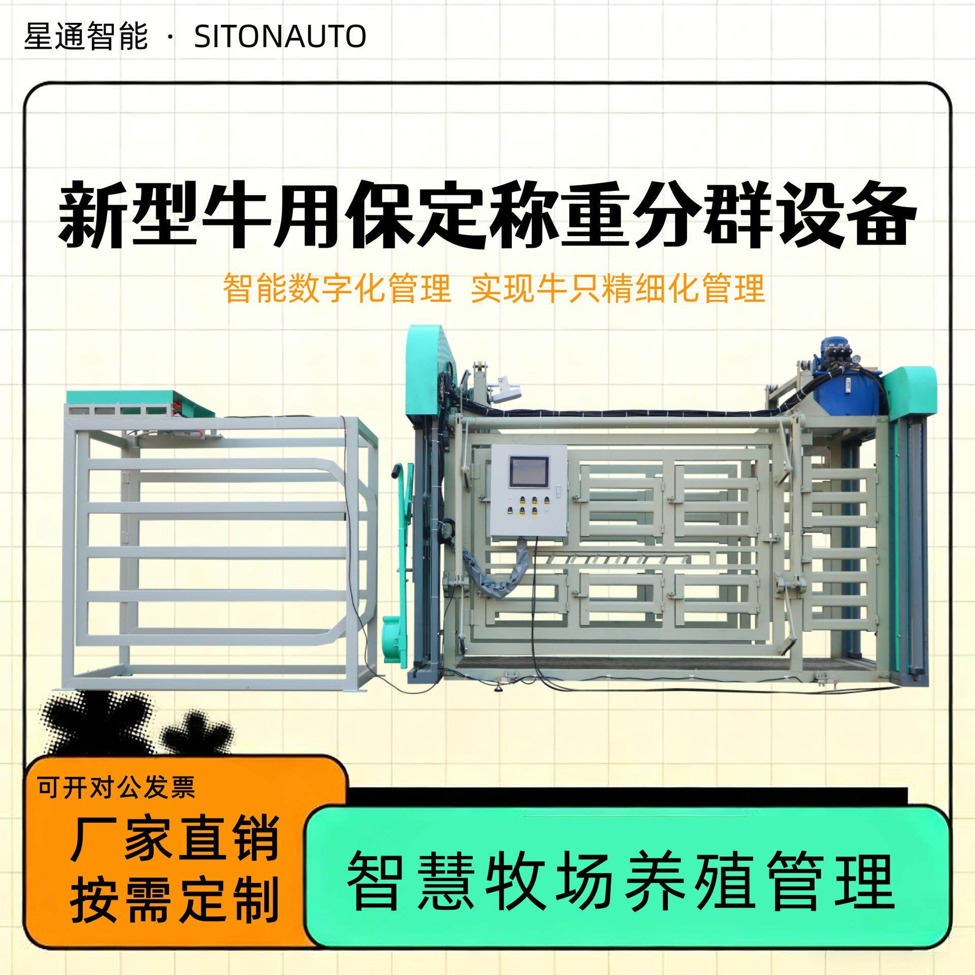 智能牛固定称重分群一体机耳标识别数据上传精准分栏无应激全自动