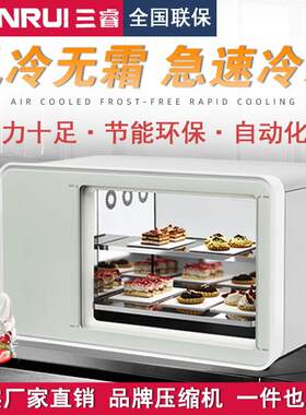 三睿柜台式硬质冰淇淋冰柜硬冰冷冻柜雪糕柜保鲜柜智能控温急冻