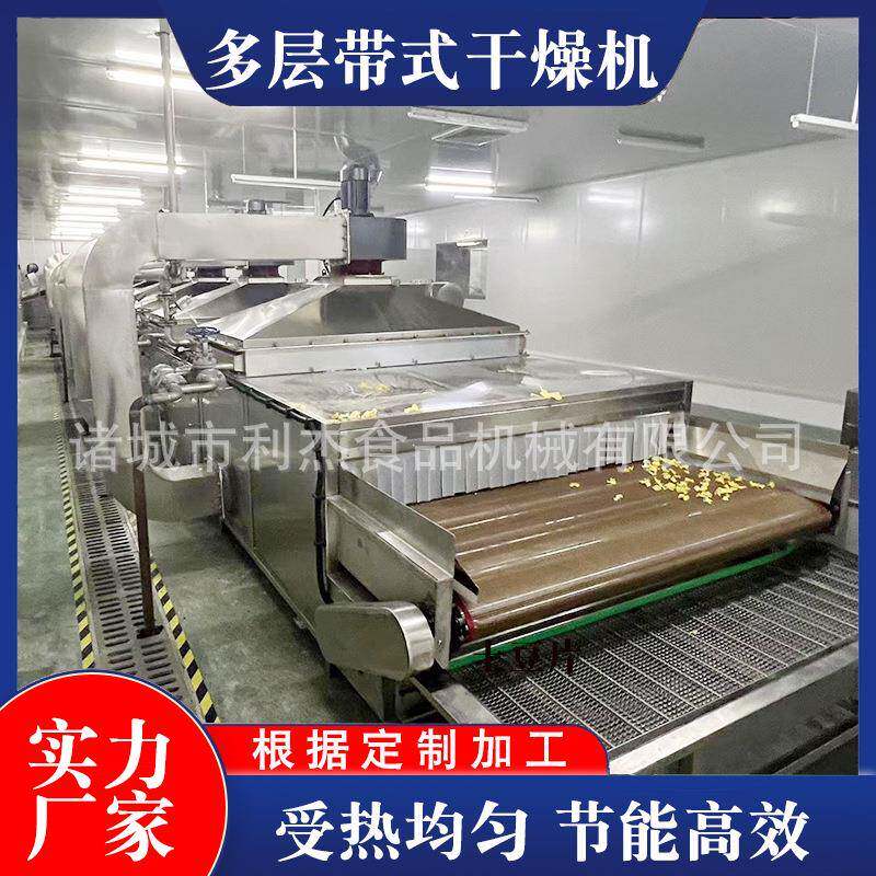 脱水蔬菜不锈钢烘干机中药材多层带式干燥机姜片带式干燥机厂家