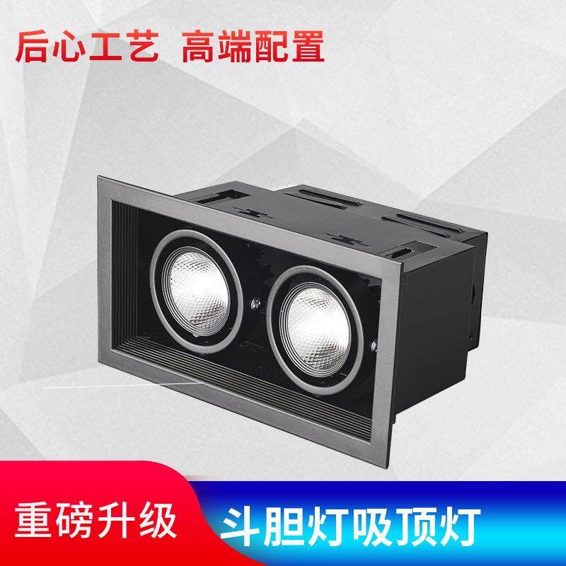 led斗胆灯双头单头三头双眼射灯筒灯黑色方形格栅嵌入式豆胆商用