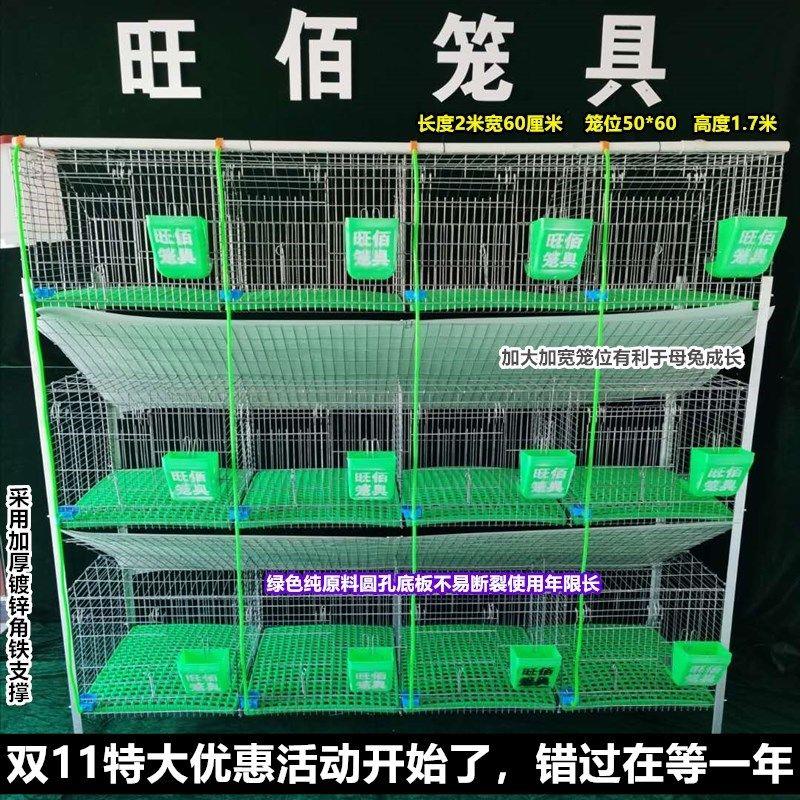兔笼养殖笼 12位加粗加密热镀锌免清粪子母兔笼阶梯兔子笼子旺佰