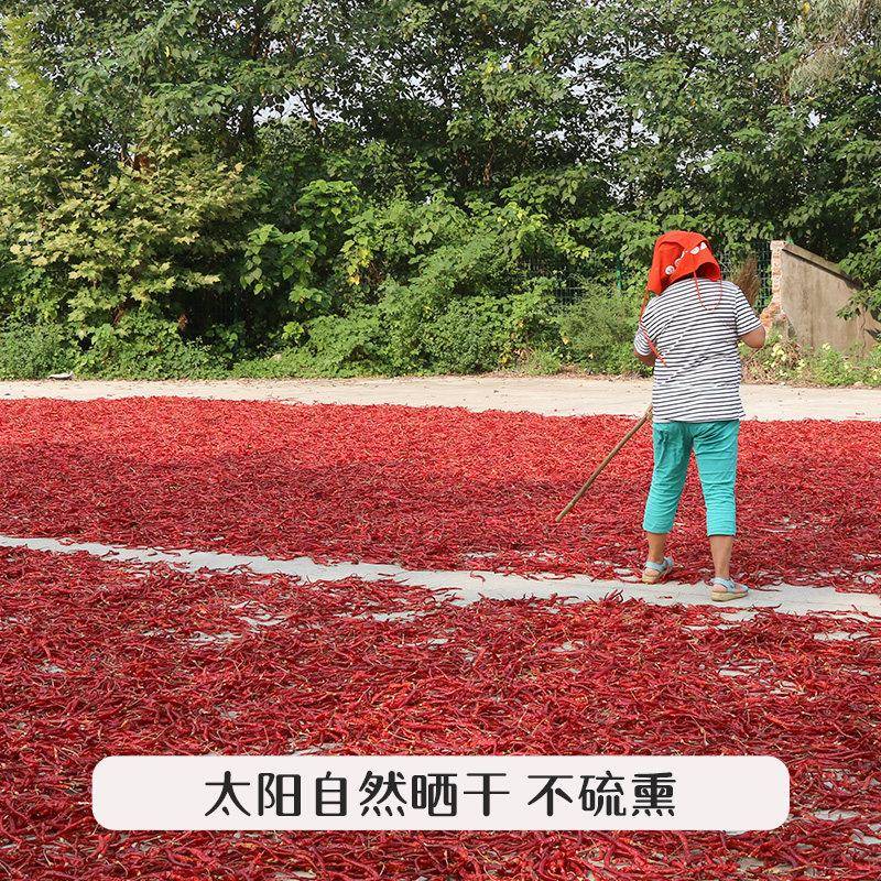 牧马山二荆条干辣椒250g微辣特香四川二金条海椒面干货辣椒油调料