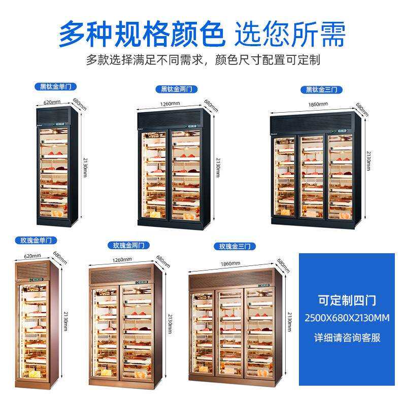 节能牛肉熟成柜商用西餐厅低能耗牛排排酸柜湿式保鲜展示风干柜